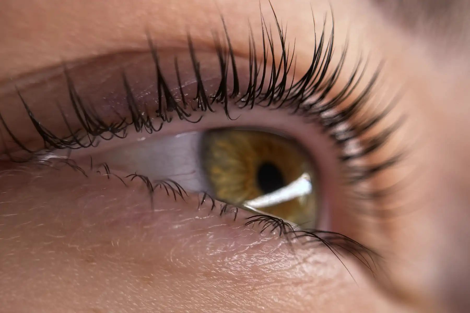 Lash lifting — výsledek po zvýraznění řas v SkinArth Studiu